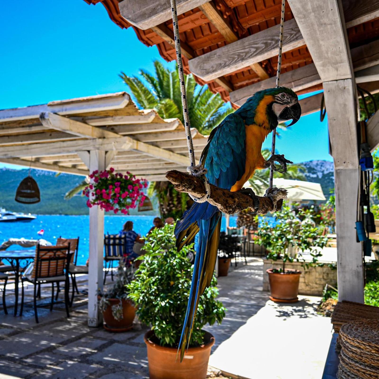 Villa Rava Hotel & Restaurant Ngoại thất bức ảnh
